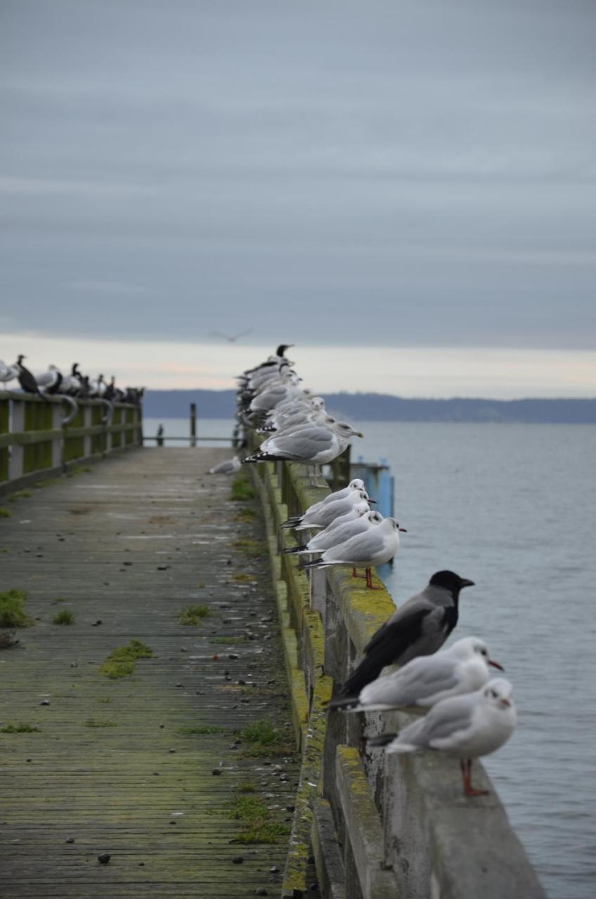 Fewo Meerestraum Sassnitz Bagian luar foto